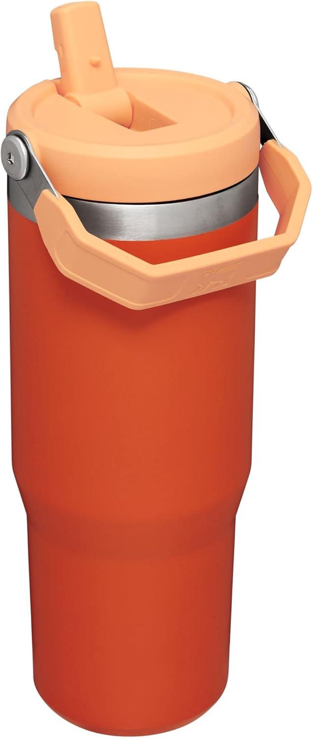 imageSTANLEY IceFlow 20 Flip Straw Tumbler with Handle 20 oz Twist On Lid and Flip Up Straw Leak Resistant Water Bottle Insulated Stainless Steel BPAFree AzureTigerlily