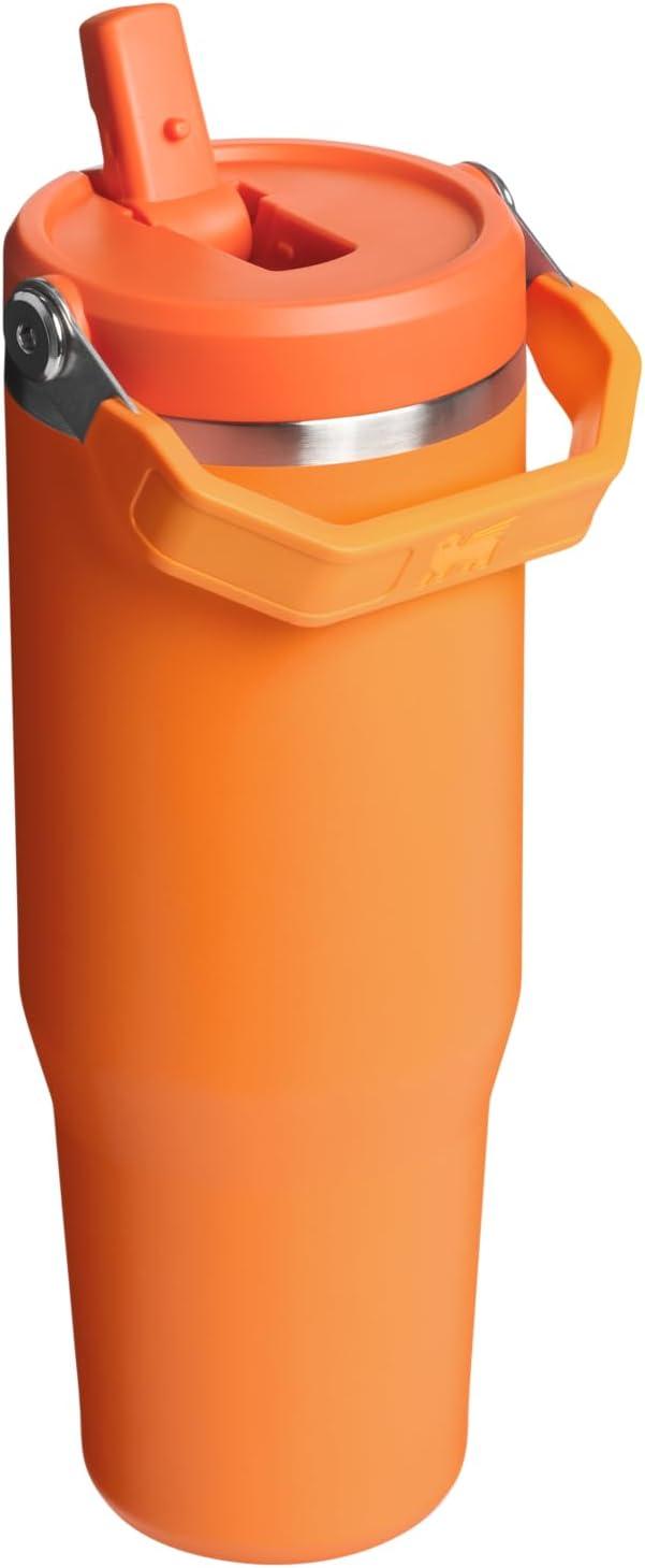 imageSTANLEY IceFlow 20 Flip Straw Tumbler with Handle 20 oz Twist On Lid and Flip Up Straw Leak Resistant Water Bottle Insulated Stainless Steel BPAFree AzureGoldenrod Coral