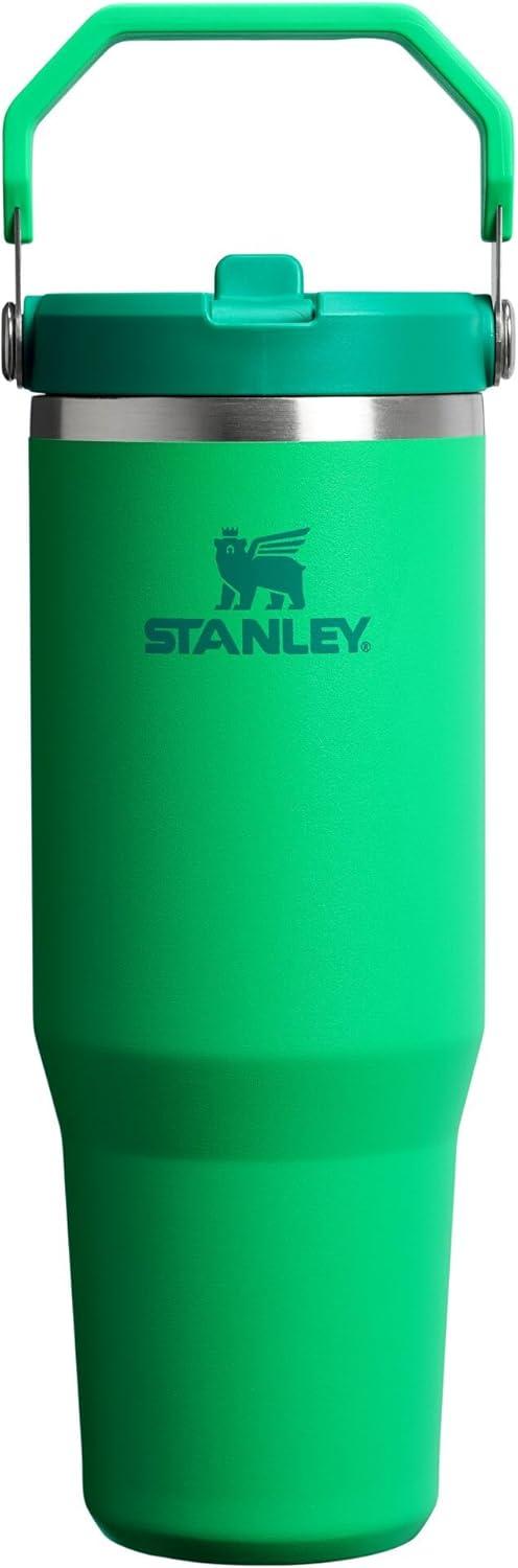 imageSTANLEY IceFlow 20 Flip Straw Tumbler with Handle 20 oz Twist On Lid and Flip Up Straw Leak Resistant Water Bottle Insulated Stainless Steel BPAFree AzureMeadow