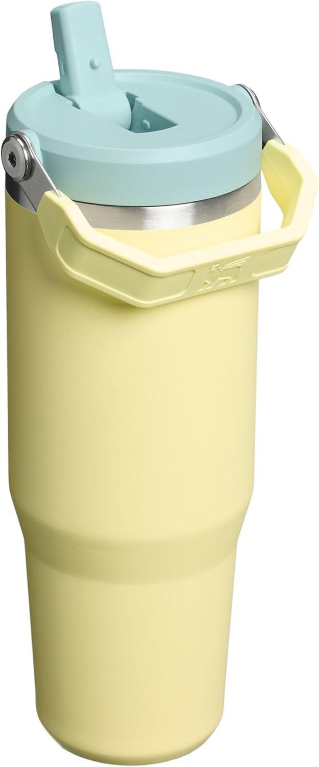 imageSTANLEY IceFlow 20 Flip Straw Tumbler with Handle 20 oz Twist On Lid and Flip Up Straw Leak Resistant Water Bottle Insulated Stainless Steel BPAFree AzurePomelo