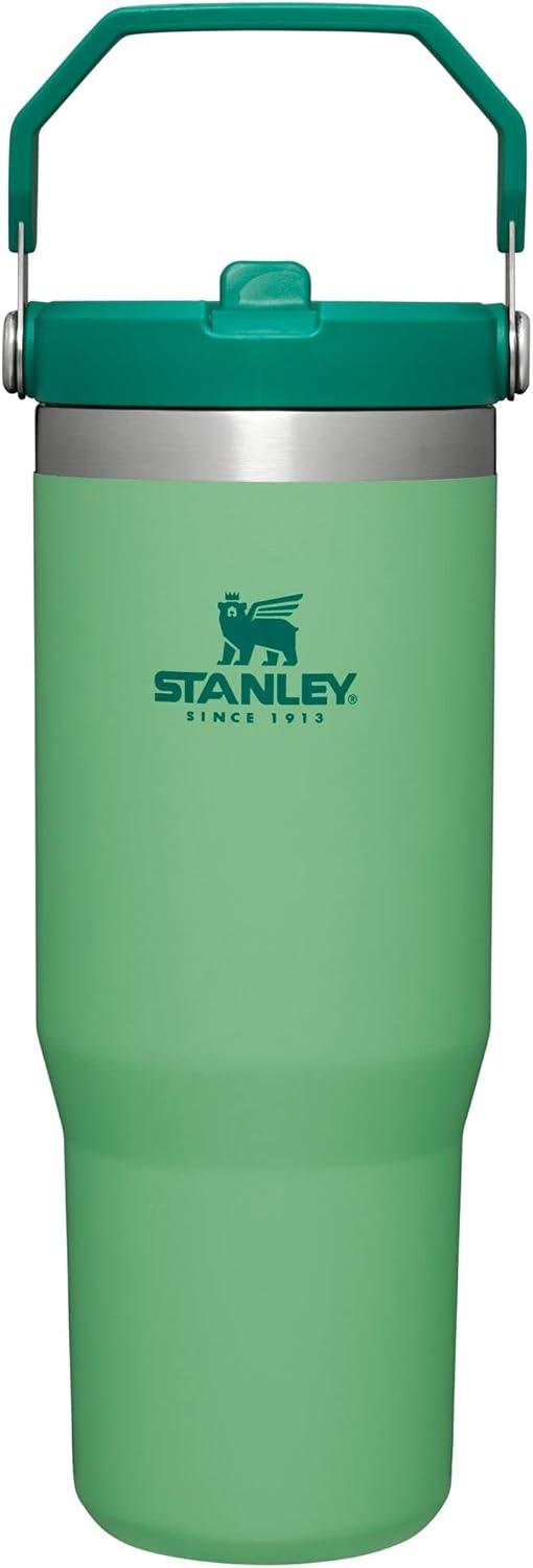 imageSTANLEY IceFlow 20 Flip Straw Tumbler with Handle 20 oz Twist On Lid and Flip Up Straw Leak Resistant Water Bottle Insulated Stainless Steel BPAFree AzureJade