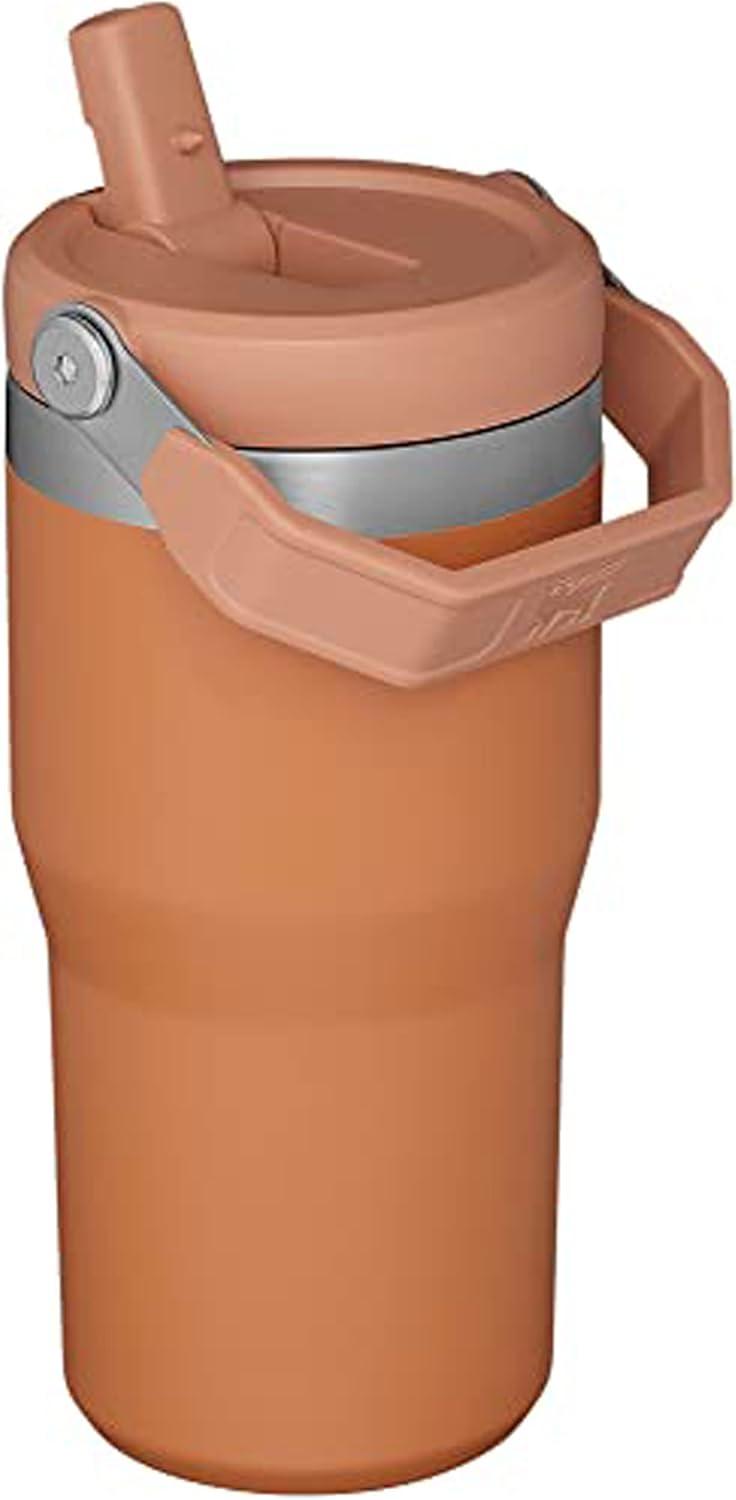 imageSTANLEY IceFlow 20 Flip Straw Tumbler with Handle 20 oz Twist On Lid and Flip Up Straw Leak Resistant Water Bottle Insulated Stainless Steel BPAFree AzureOchre
