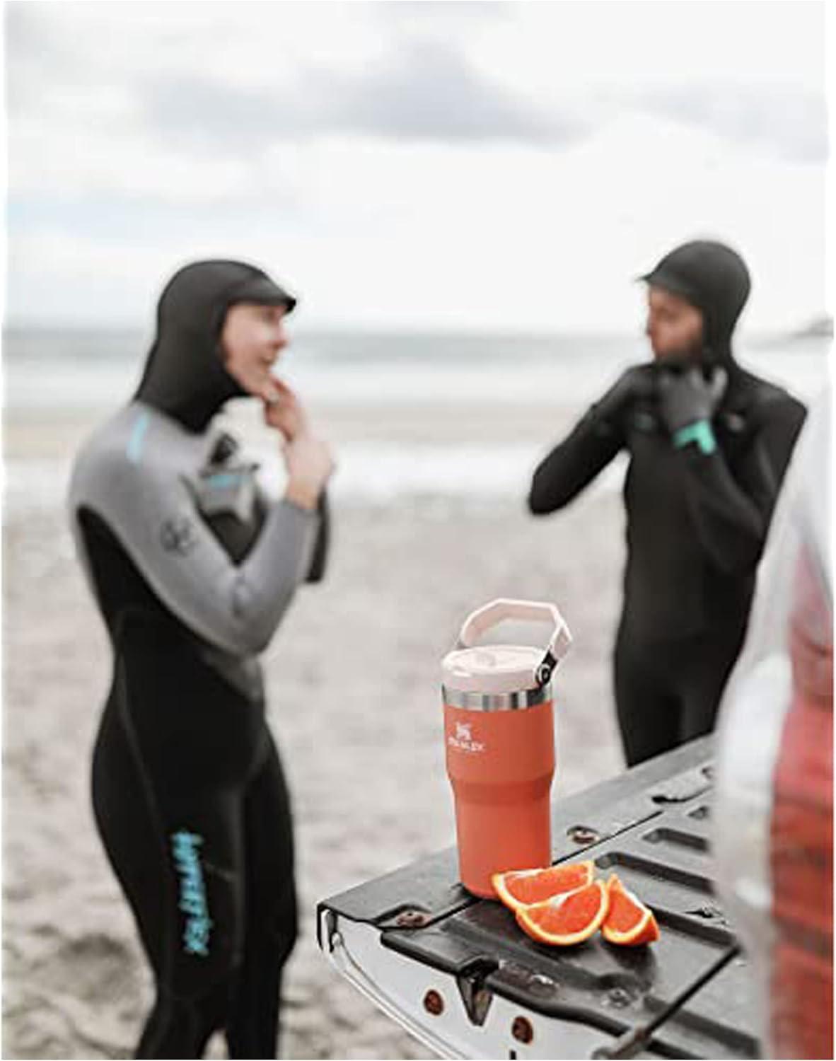 imageSTANLEY IceFlow 20 Flip Straw Tumbler with Handle 20 oz Twist On Lid and Flip Up Straw Leak Resistant Water Bottle Insulated Stainless Steel BPAFree AzureGrapefruit