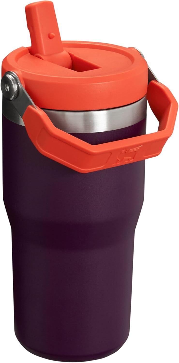 imageSTANLEY IceFlow 20 Flip Straw Tumbler with Handle 20 oz Twist On Lid and Flip Up Straw Leak Resistant Water Bottle Insulated Stainless Steel BPAFree AzurePlum