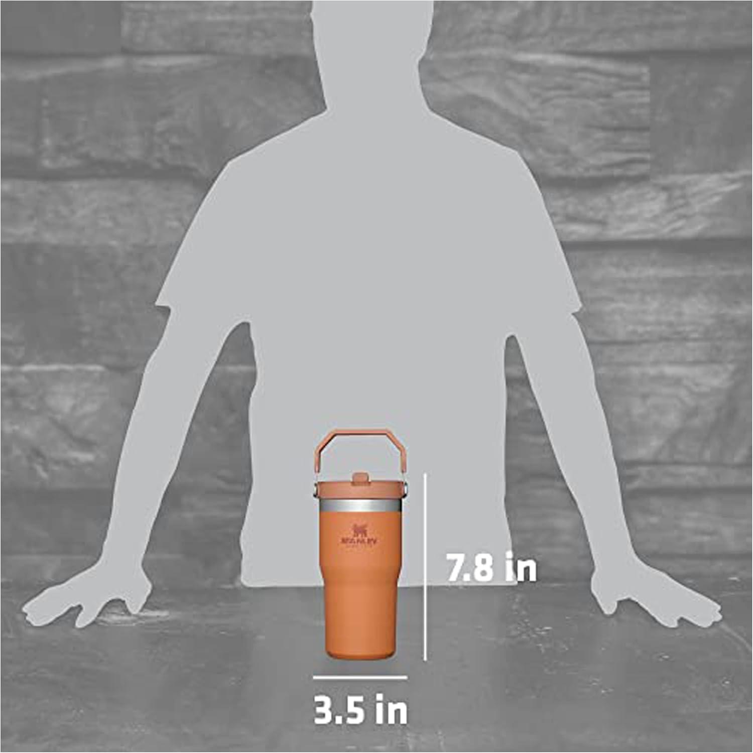 imageSTANLEY IceFlow 20 Flip Straw Tumbler with Handle 20 oz Twist On Lid and Flip Up Straw Leak Resistant Water Bottle Insulated Stainless Steel BPAFree AzureOchre