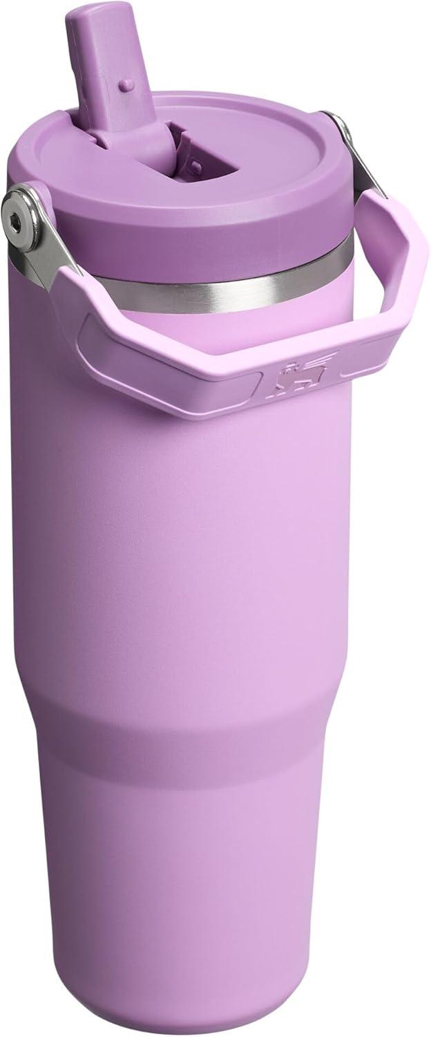 imageSTANLEY IceFlow 20 Flip Straw Tumbler with Handle 20 oz Twist On Lid and Flip Up Straw Leak Resistant Water Bottle Insulated Stainless Steel BPAFree AzureLilac