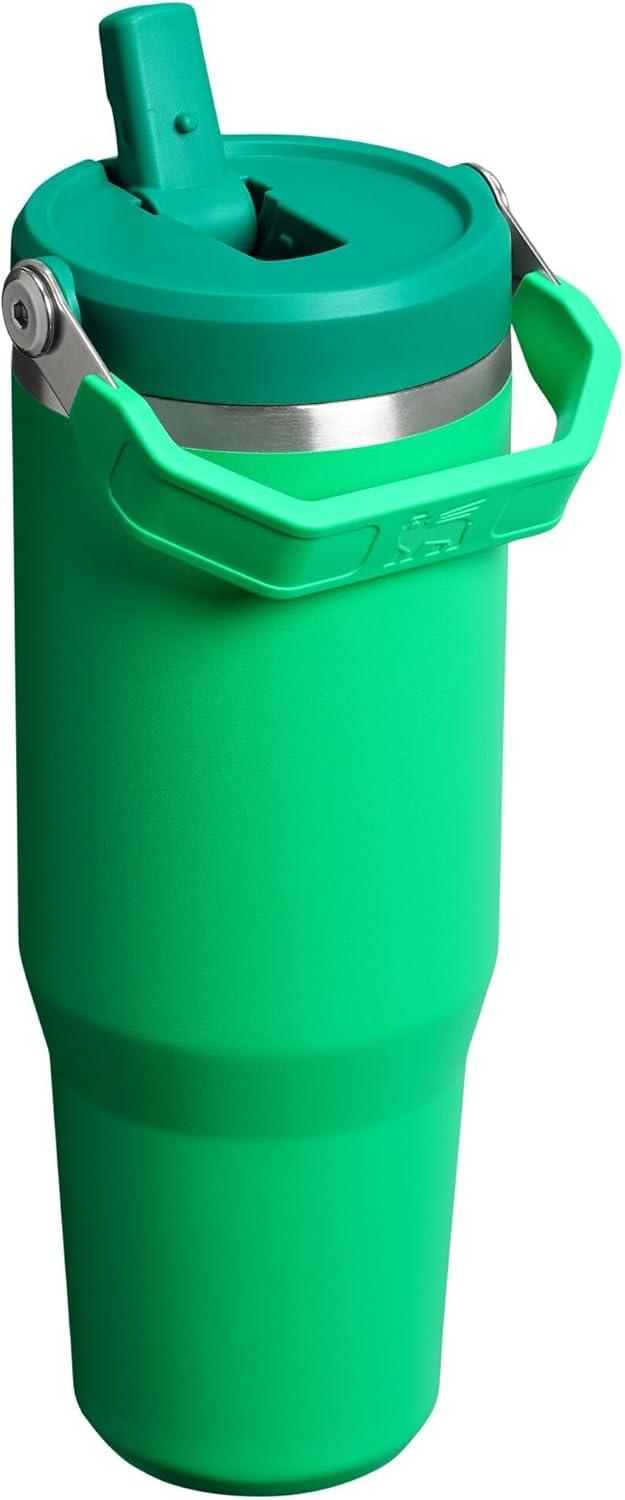imageSTANLEY IceFlow 20 Flip Straw Tumbler with Handle 20 oz Twist On Lid and Flip Up Straw Leak Resistant Water Bottle Insulated Stainless Steel BPAFree AzureMeadow