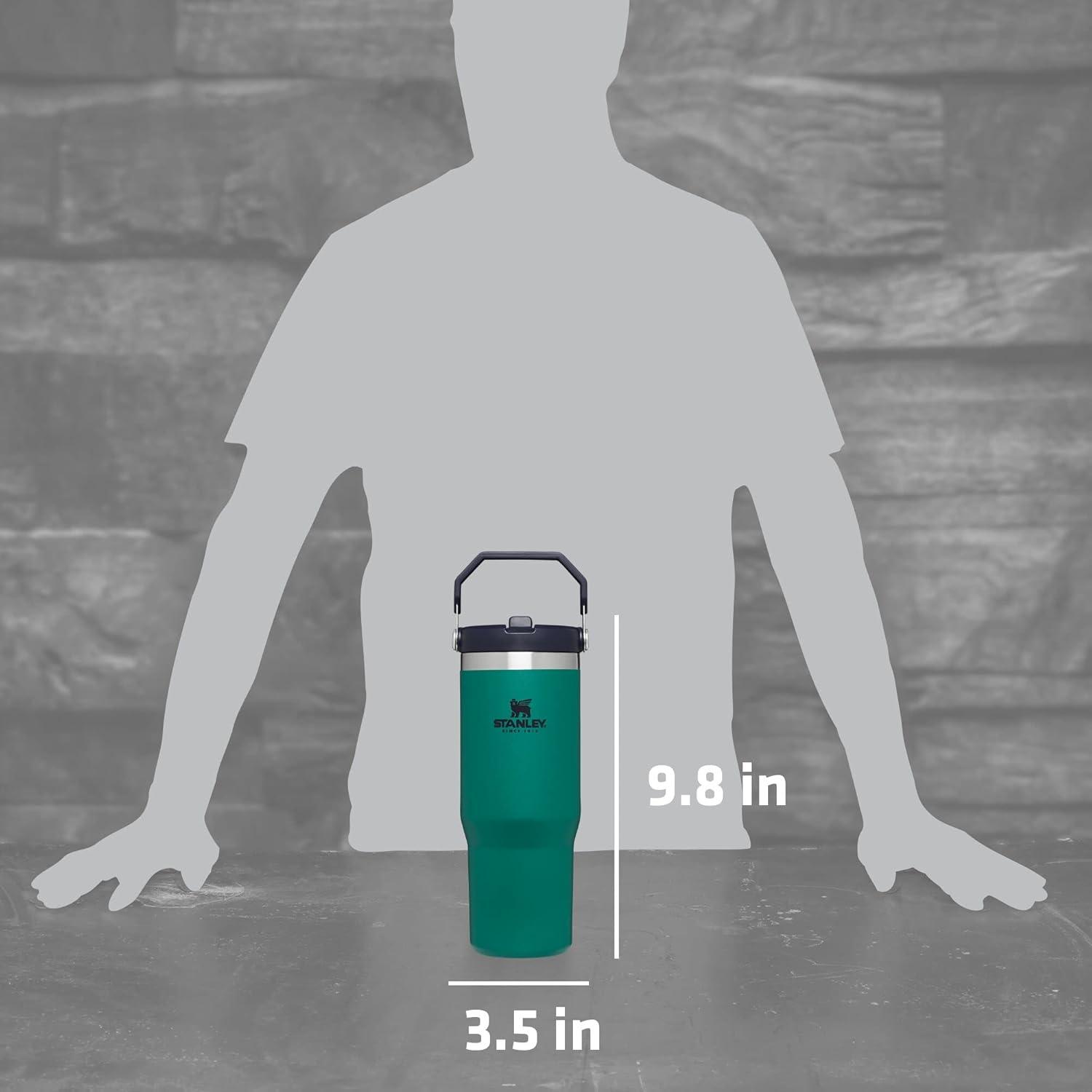 imageSTANLEY IceFlow 20 Flip Straw Tumbler with Handle 20 oz Twist On Lid and Flip Up Straw Leak Resistant Water Bottle Insulated Stainless Steel BPAFree AzureTidepool