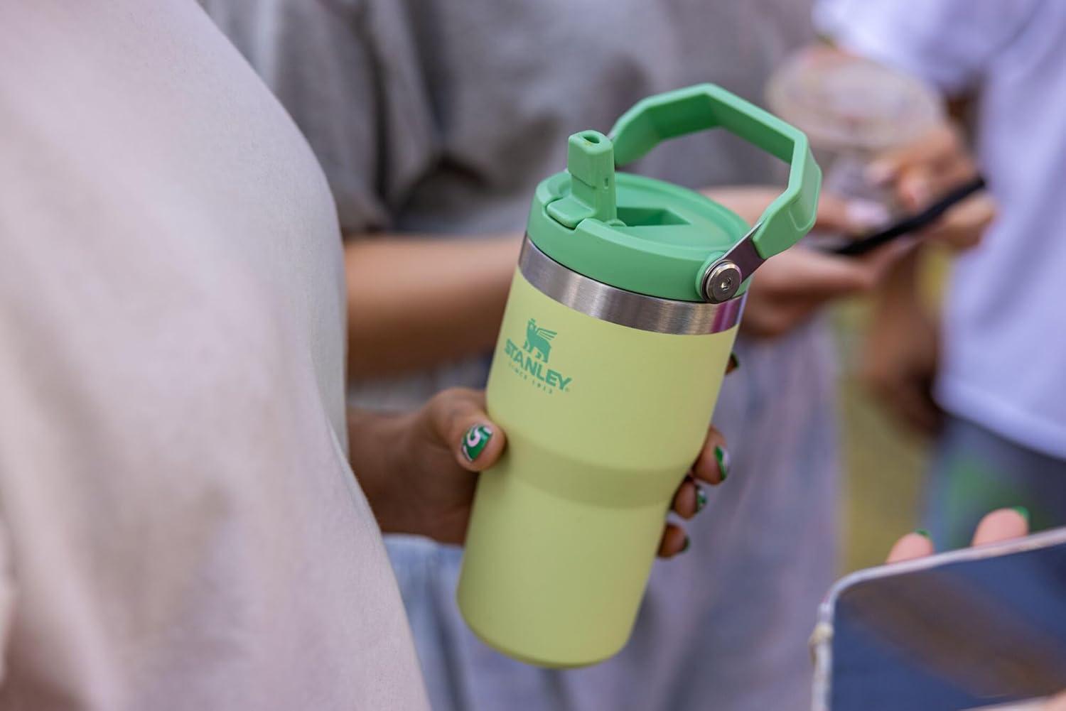 imageSTANLEY IceFlow 20 Flip Straw Tumbler with Handle 20 oz Twist On Lid and Flip Up Straw Leak Resistant Water Bottle Insulated Stainless Steel BPAFree AzureCitron