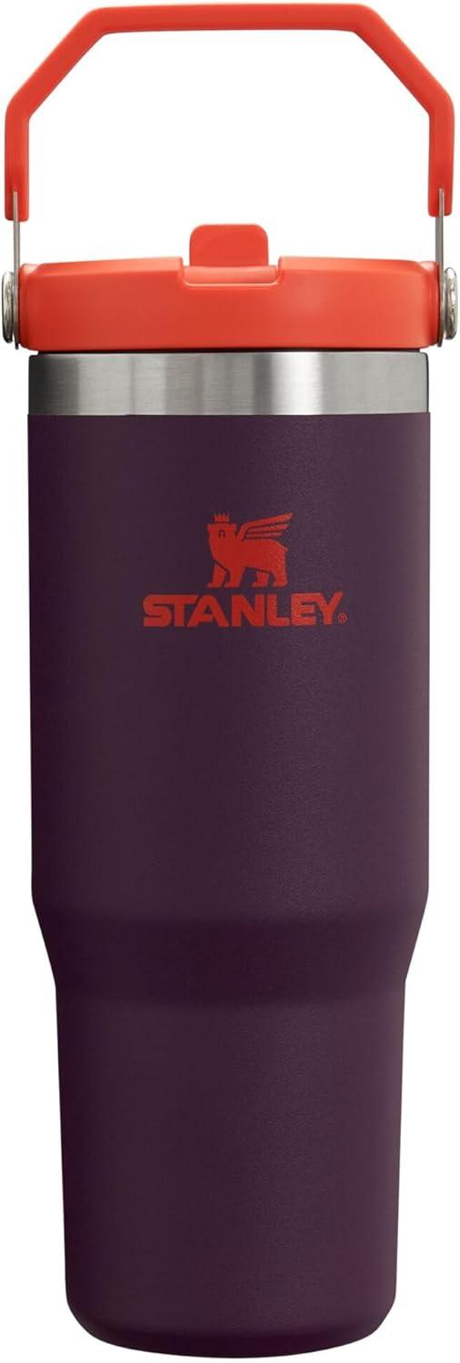 imageSTANLEY IceFlow 20 Flip Straw Tumbler with Handle 20 oz Twist On Lid and Flip Up Straw Leak Resistant Water Bottle Insulated Stainless Steel BPAFree AzurePlum