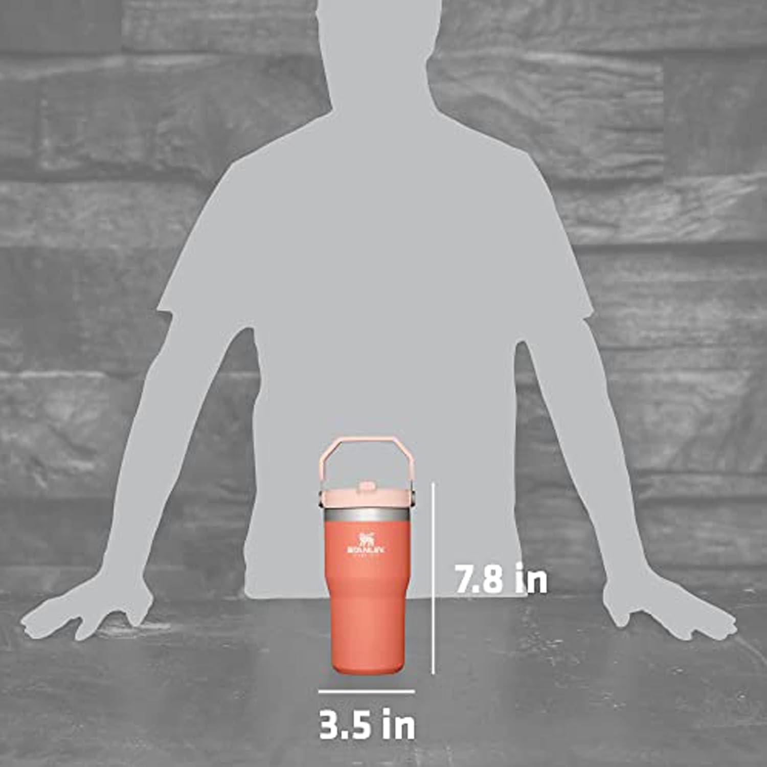 imageSTANLEY IceFlow 20 Flip Straw Tumbler with Handle 20 oz Twist On Lid and Flip Up Straw Leak Resistant Water Bottle Insulated Stainless Steel BPAFree AzureGrapefruit