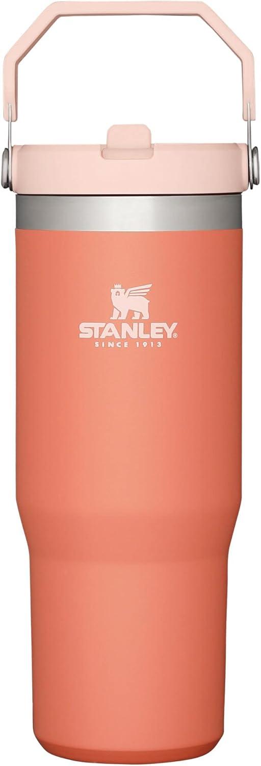 imageSTANLEY IceFlow 20 Flip Straw Tumbler with Handle 20 oz Twist On Lid and Flip Up Straw Leak Resistant Water Bottle Insulated Stainless Steel BPAFree AzureGrapefruit