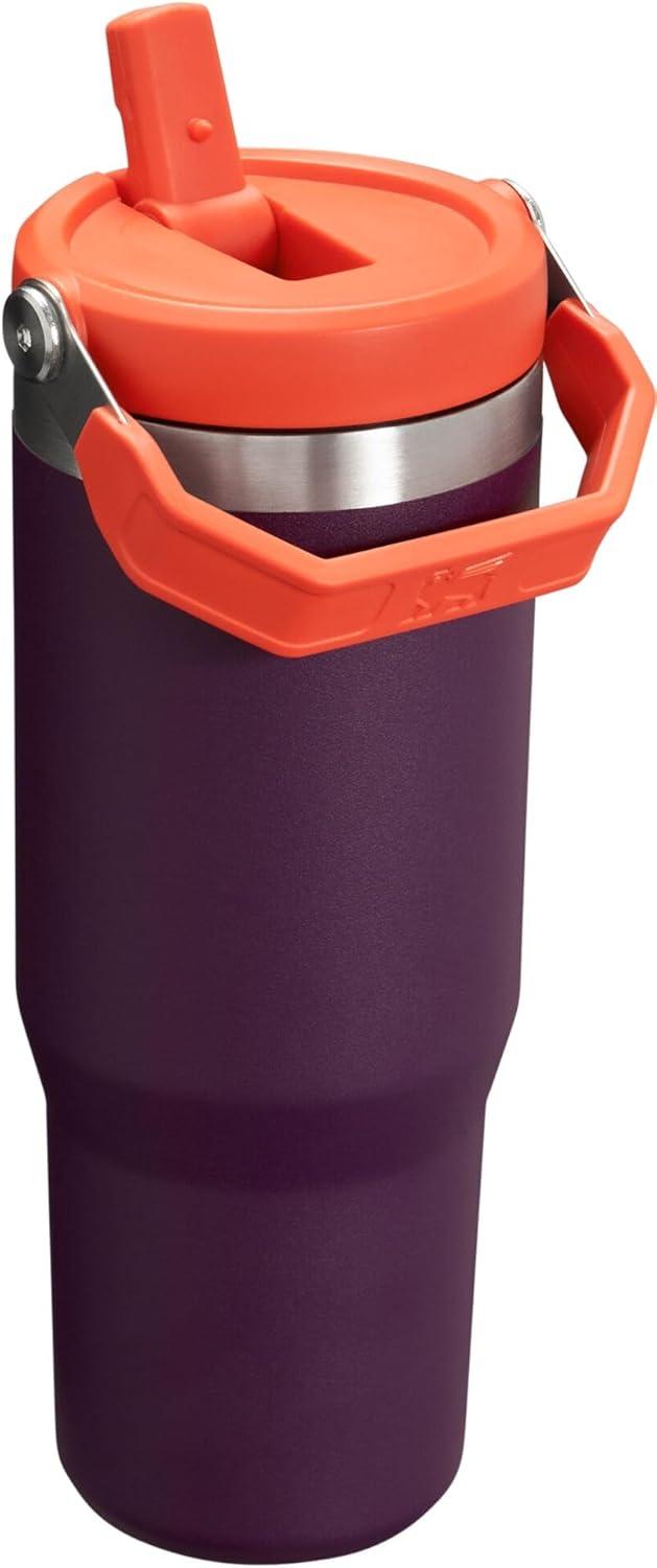 imageSTANLEY IceFlow 20 Flip Straw Tumbler with Handle 20 oz Twist On Lid and Flip Up Straw Leak Resistant Water Bottle Insulated Stainless Steel BPAFree AzurePlum