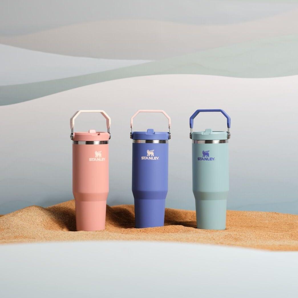 imageSTANLEY IceFlow 20 Flip Straw Tumbler with Handle 20 oz Twist On Lid and Flip Up Straw Leak Resistant Water Bottle Insulated Stainless Steel BPAFree AzureExclusive Lupine
