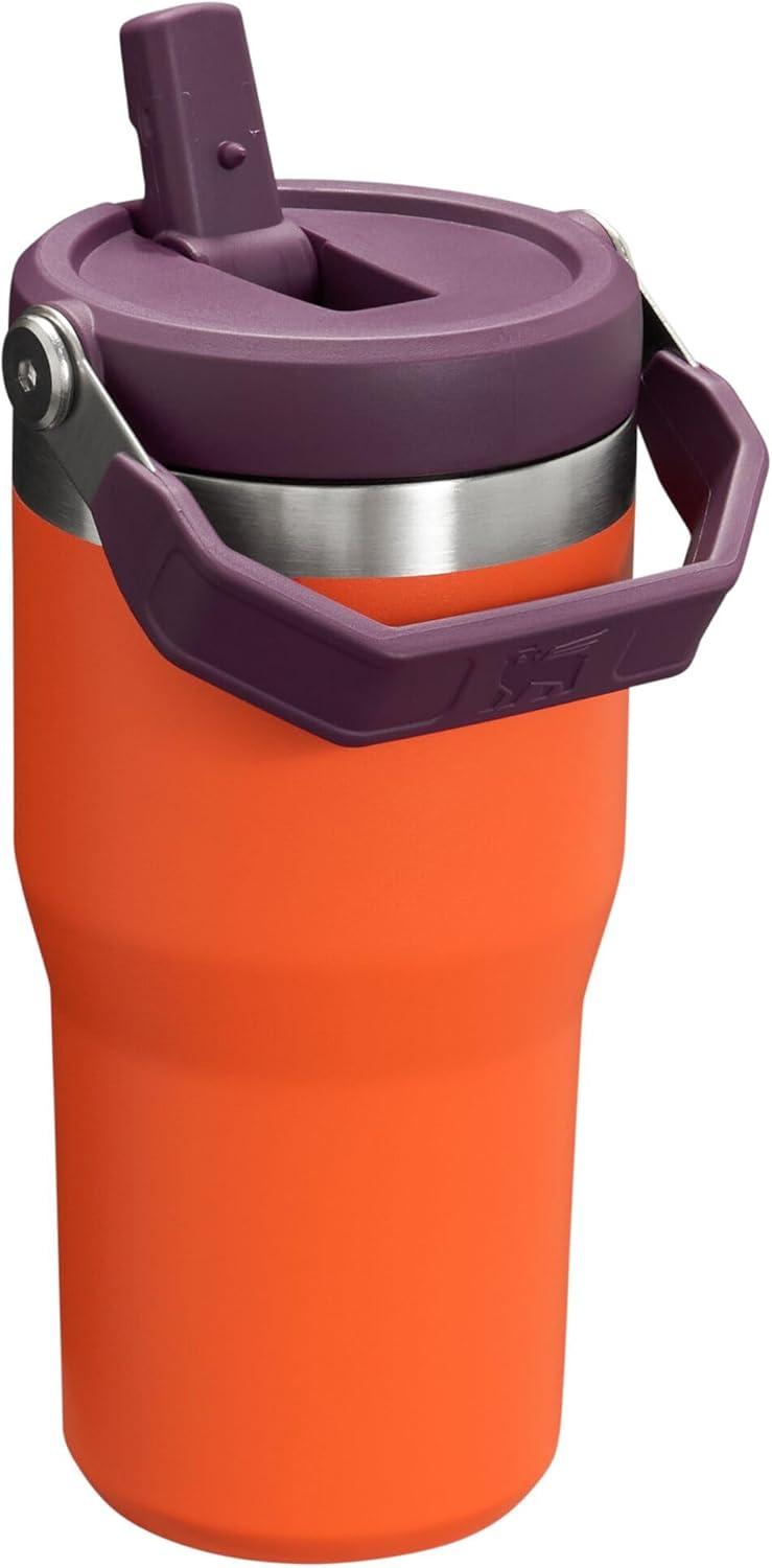 imageSTANLEY IceFlow 20 Flip Straw Tumbler with Handle 20 oz Twist On Lid and Flip Up Straw Leak Resistant Water Bottle Insulated Stainless Steel BPAFree AzureTigerlily Plum