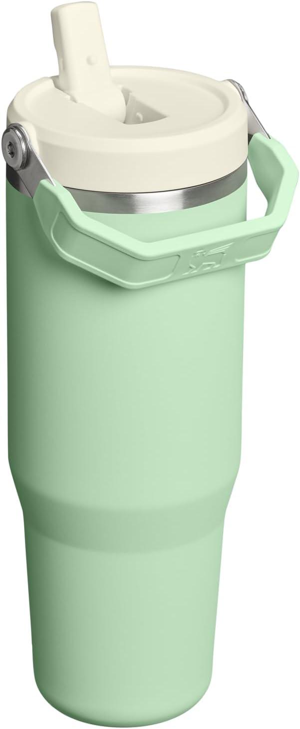 imageSTANLEY IceFlow 20 Flip Straw Tumbler with Handle 20 oz Twist On Lid and Flip Up Straw Leak Resistant Water Bottle Insulated Stainless Steel BPAFree AzurePistachio