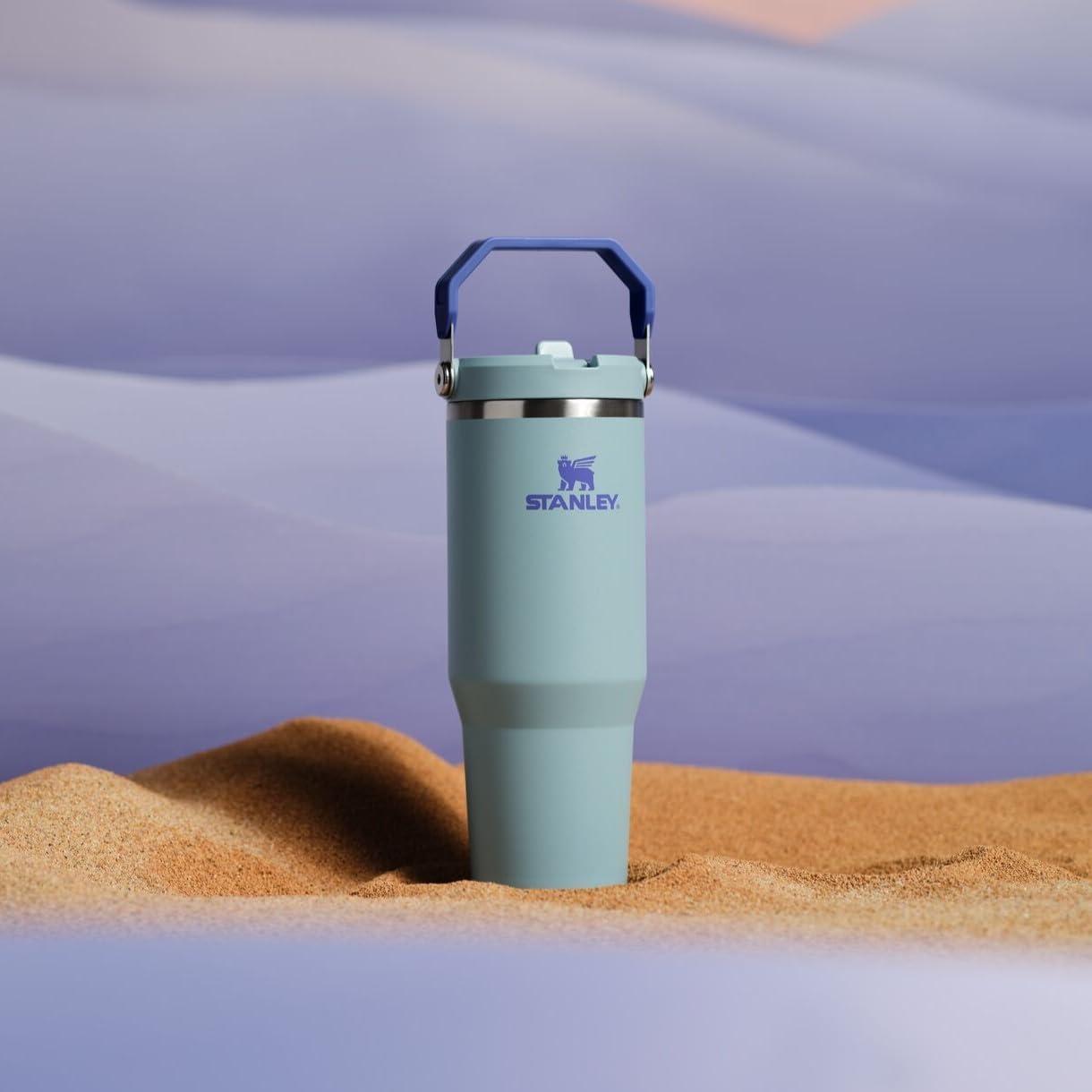imageSTANLEY IceFlow 20 Flip Straw Tumbler with Handle 20 oz Twist On Lid and Flip Up Straw Leak Resistant Water Bottle Insulated Stainless Steel BPAFree AzureExclusive Blue Catus