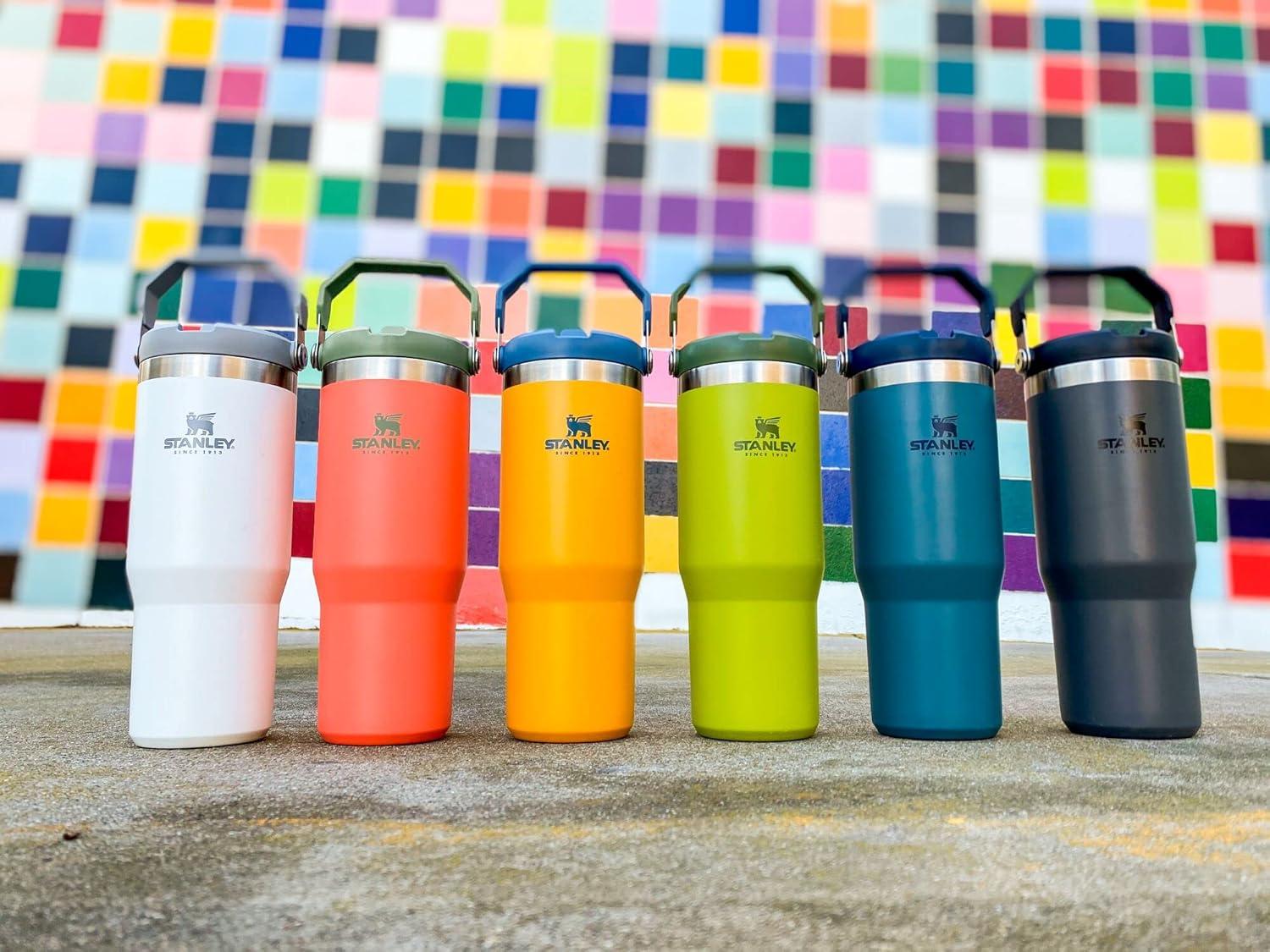 imageSTANLEY IceFlow 20 Flip Straw Tumbler with Handle 20 oz Twist On Lid and Flip Up Straw Leak Resistant Water Bottle Insulated Stainless Steel BPAFree AzurePolar