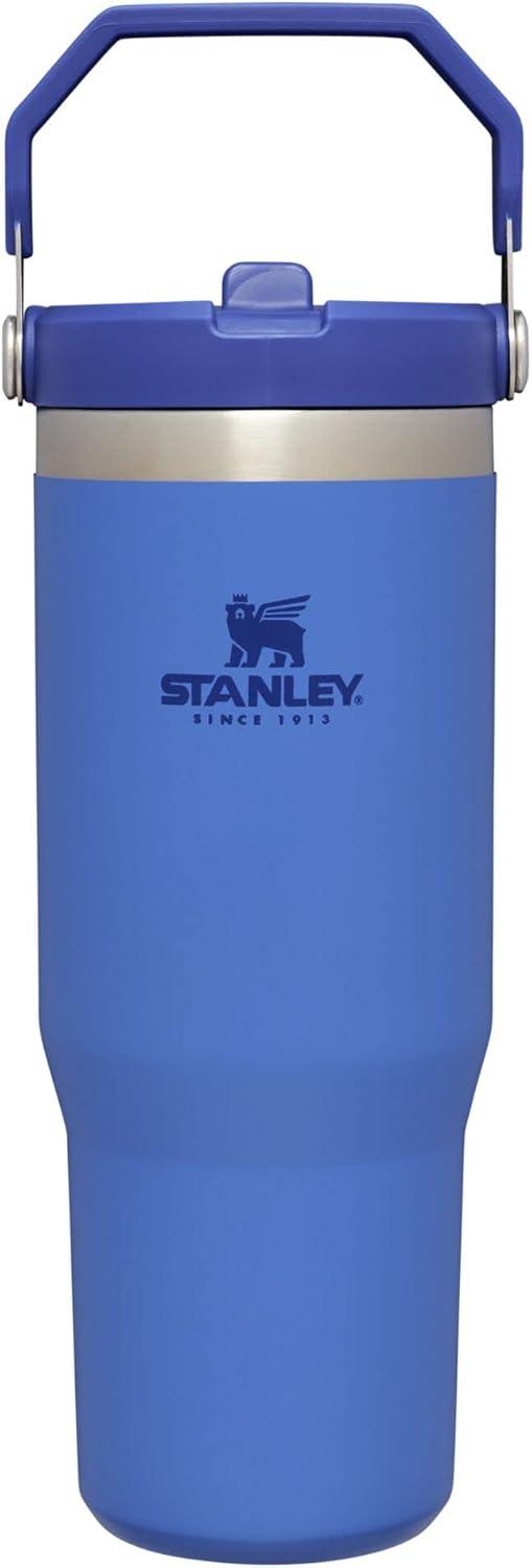 imageSTANLEY IceFlow 20 Flip Straw Tumbler with Handle 20 oz Twist On Lid and Flip Up Straw Leak Resistant Water Bottle Insulated Stainless Steel BPAFree AzureIris