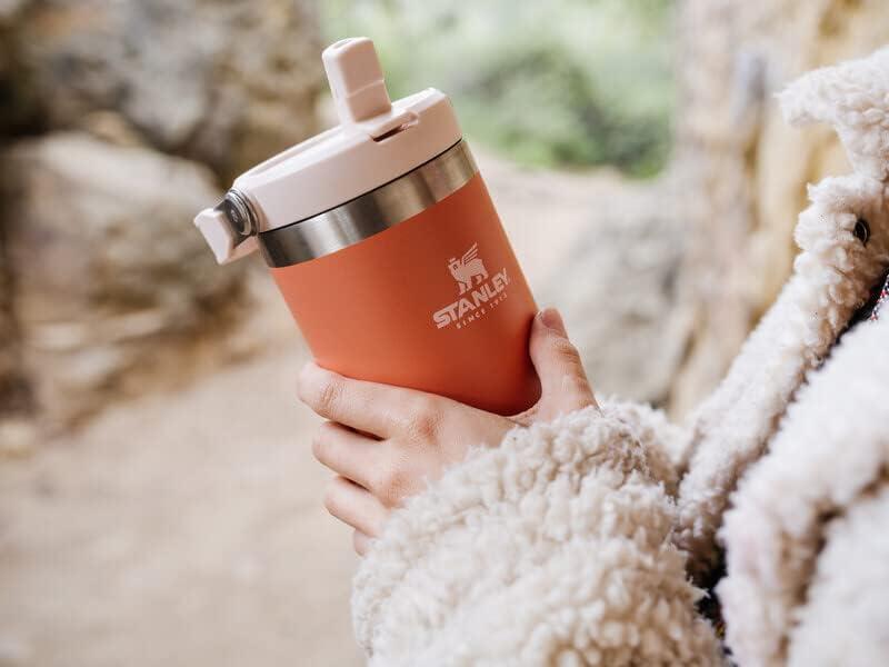 imageSTANLEY IceFlow 20 Flip Straw Tumbler with Handle 20 oz Twist On Lid and Flip Up Straw Leak Resistant Water Bottle Insulated Stainless Steel BPAFree AzureGrapefruit