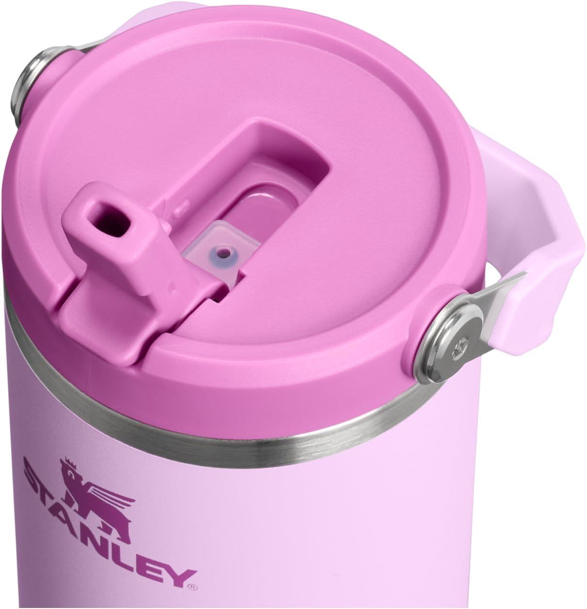 imageSTANLEY IceFlow 20 Flip Straw Tumbler with Handle 20 oz Twist On Lid and Flip Up Straw Leak Resistant Water Bottle Insulated Stainless Steel BPAFree AzureSoft Orchid