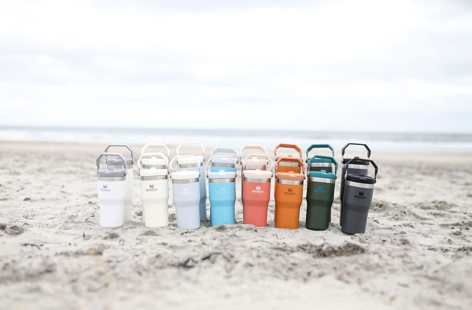 imageSTANLEY IceFlow 20 Flip Straw Tumbler with Handle 20 oz Twist On Lid and Flip Up Straw Leak Resistant Water Bottle Insulated Stainless Steel BPAFree AzureOchre