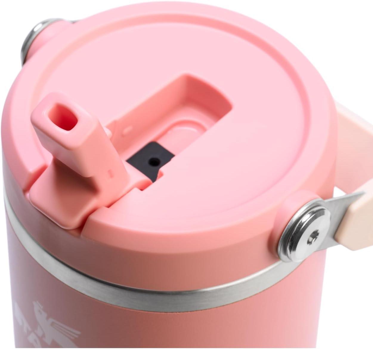 imageSTANLEY IceFlow 20 Flip Straw Tumbler with Handle 20 oz Twist On Lid and Flip Up Straw Leak Resistant Water Bottle Insulated Stainless Steel BPAFree AzurePink Mesa