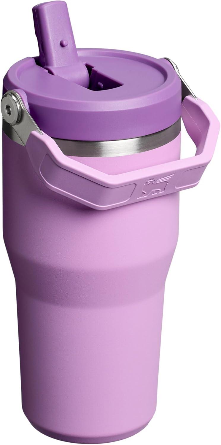 imageSTANLEY IceFlow 20 Flip Straw Tumbler with Handle 20 oz Twist On Lid and Flip Up Straw Leak Resistant Water Bottle Insulated Stainless Steel BPAFree AzureLilac