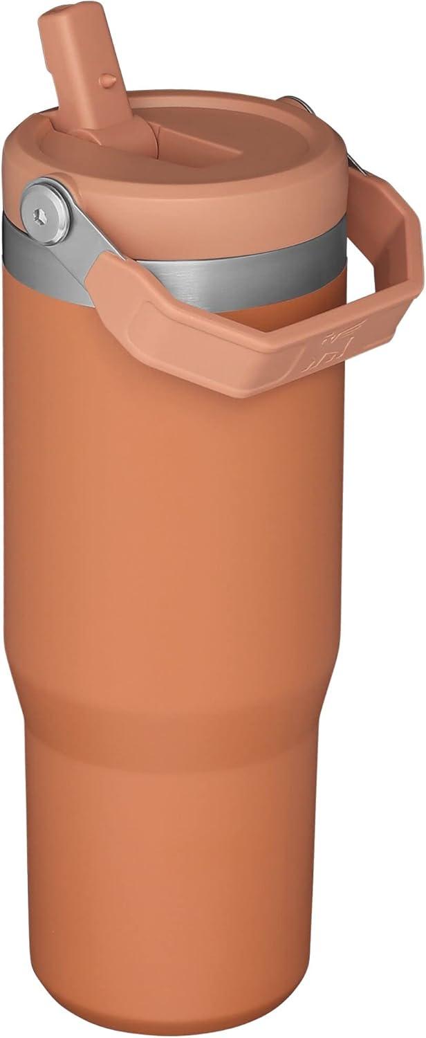 imageSTANLEY IceFlow 20 Flip Straw Tumbler with Handle 20 oz Twist On Lid and Flip Up Straw Leak Resistant Water Bottle Insulated Stainless Steel BPAFree AzureOchre