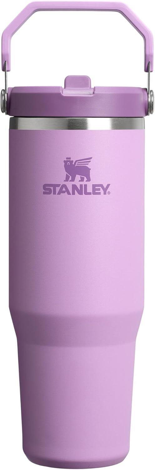 imageSTANLEY IceFlow 20 Flip Straw Tumbler with Handle 20 oz Twist On Lid and Flip Up Straw Leak Resistant Water Bottle Insulated Stainless Steel BPAFree AzureLilac