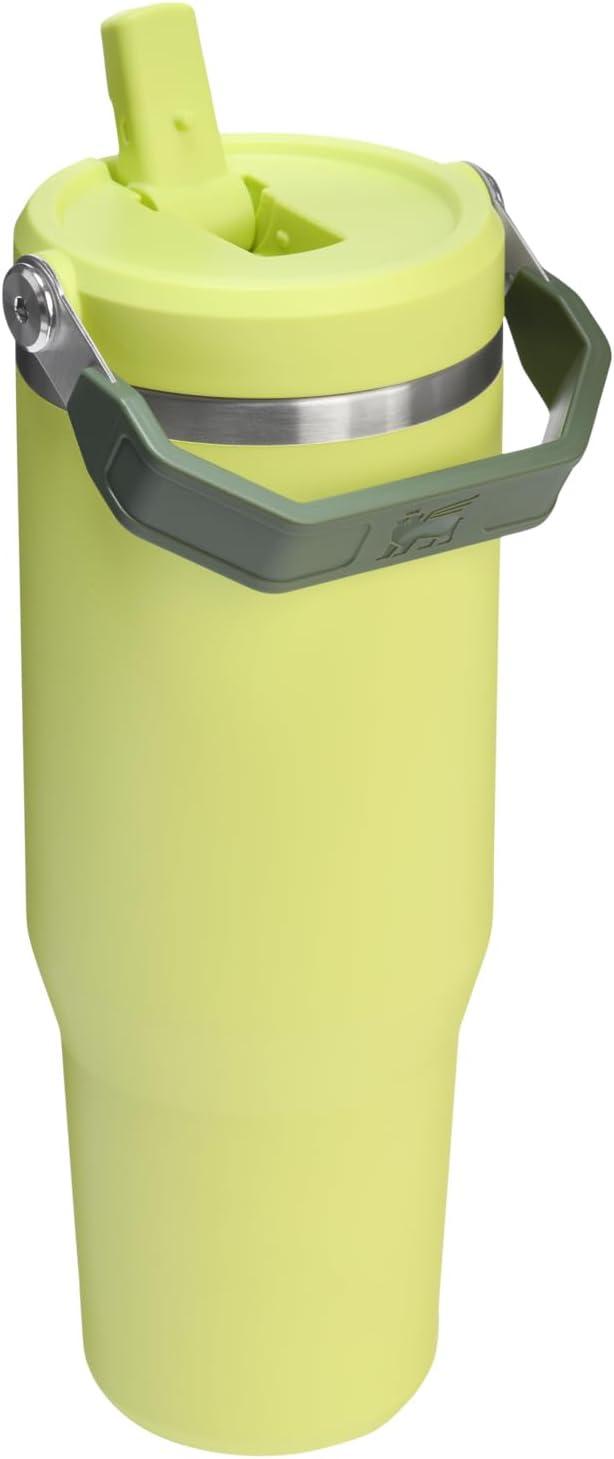 imageSTANLEY IceFlow 20 Flip Straw Tumbler with Handle 20 oz Twist On Lid and Flip Up Straw Leak Resistant Water Bottle Insulated Stainless Steel BPAFree AzurePrickly Pear