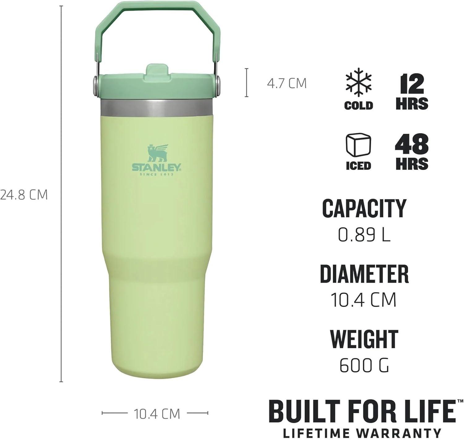 imageSTANLEY IceFlow 20 Flip Straw Tumbler with Handle 20 oz Twist On Lid and Flip Up Straw Leak Resistant Water Bottle Insulated Stainless Steel BPAFree AzureCitron