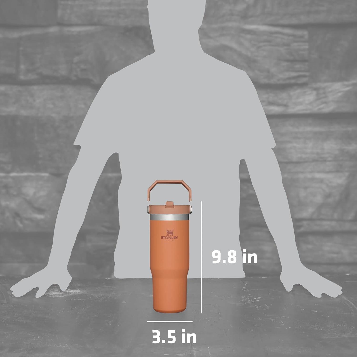 imageSTANLEY IceFlow 20 Flip Straw Tumbler with Handle 20 oz Twist On Lid and Flip Up Straw Leak Resistant Water Bottle Insulated Stainless Steel BPAFree AzureOchre