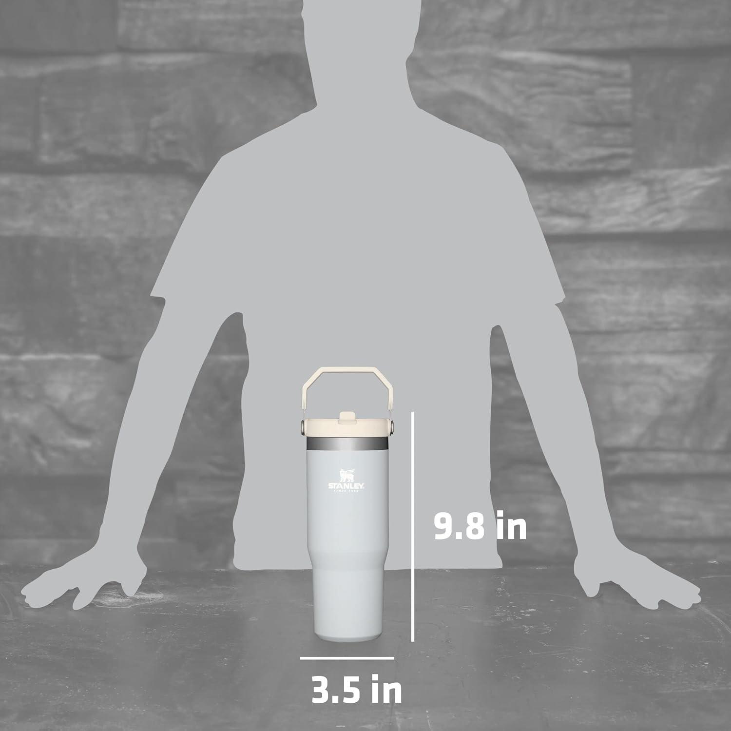 imageStanley IceFlow Flip Straw Tumbler with Handle 20 oz Twist On Lid and Flip Up Straw Leak Resistant Water Bottle Insulated Stainless Steel BPAFree PlumCloud