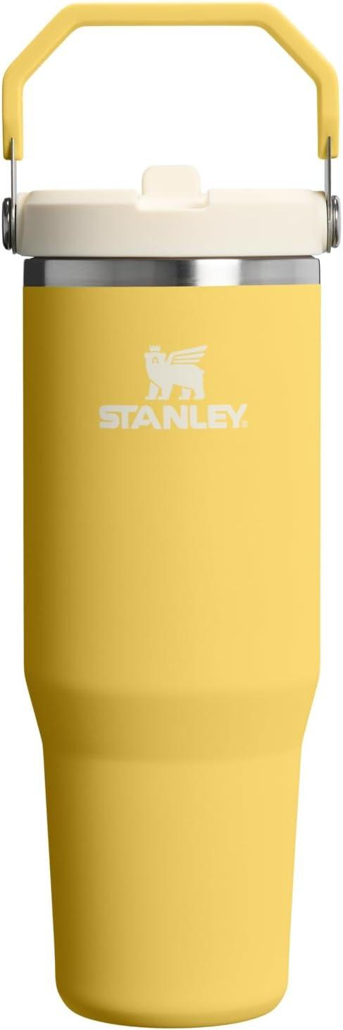 imageStanley IceFlow Flip Straw Tumbler with Handle 20 oz Twist On Lid and Flip Up Straw Leak Resistant Water Bottle Insulated Stainless Steel BPAFree PlumDaffodil