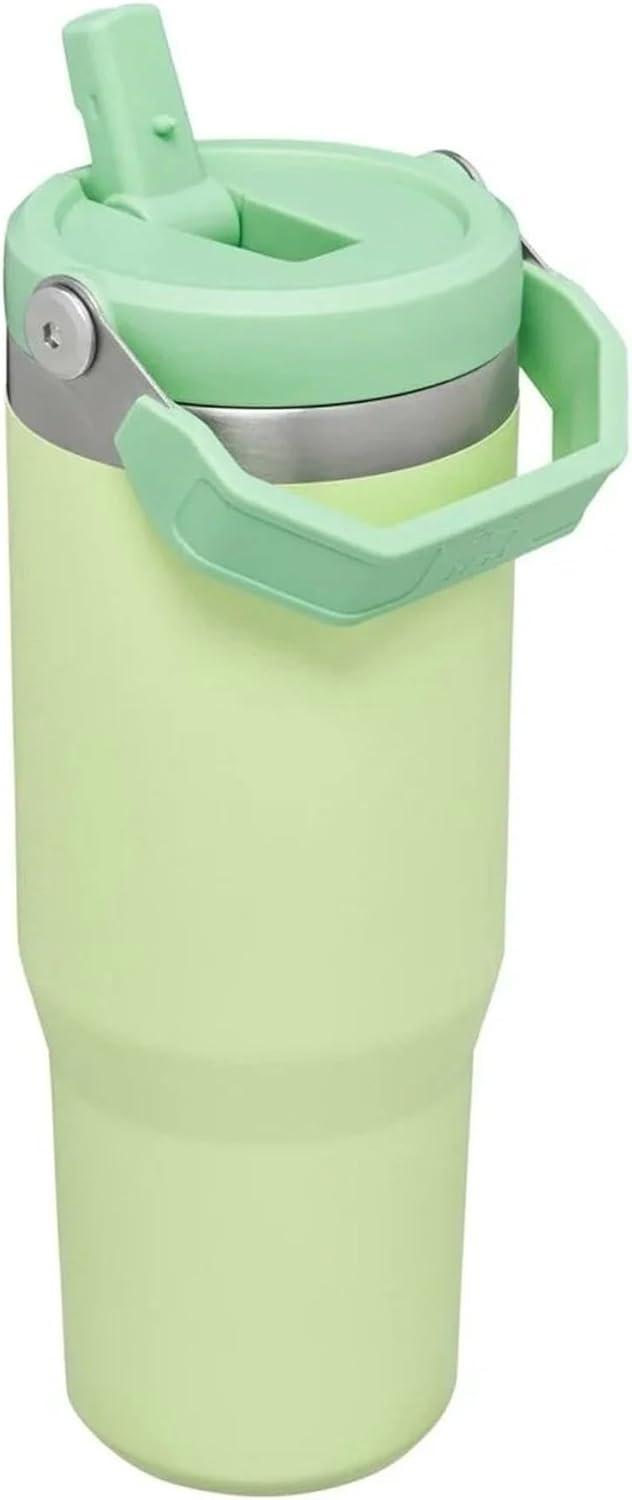 imageStanley IceFlow Flip Straw Tumbler with Handle 20 oz Twist On Lid and Flip Up Straw Leak Resistant Water Bottle Insulated Stainless Steel BPAFree PlumCitron