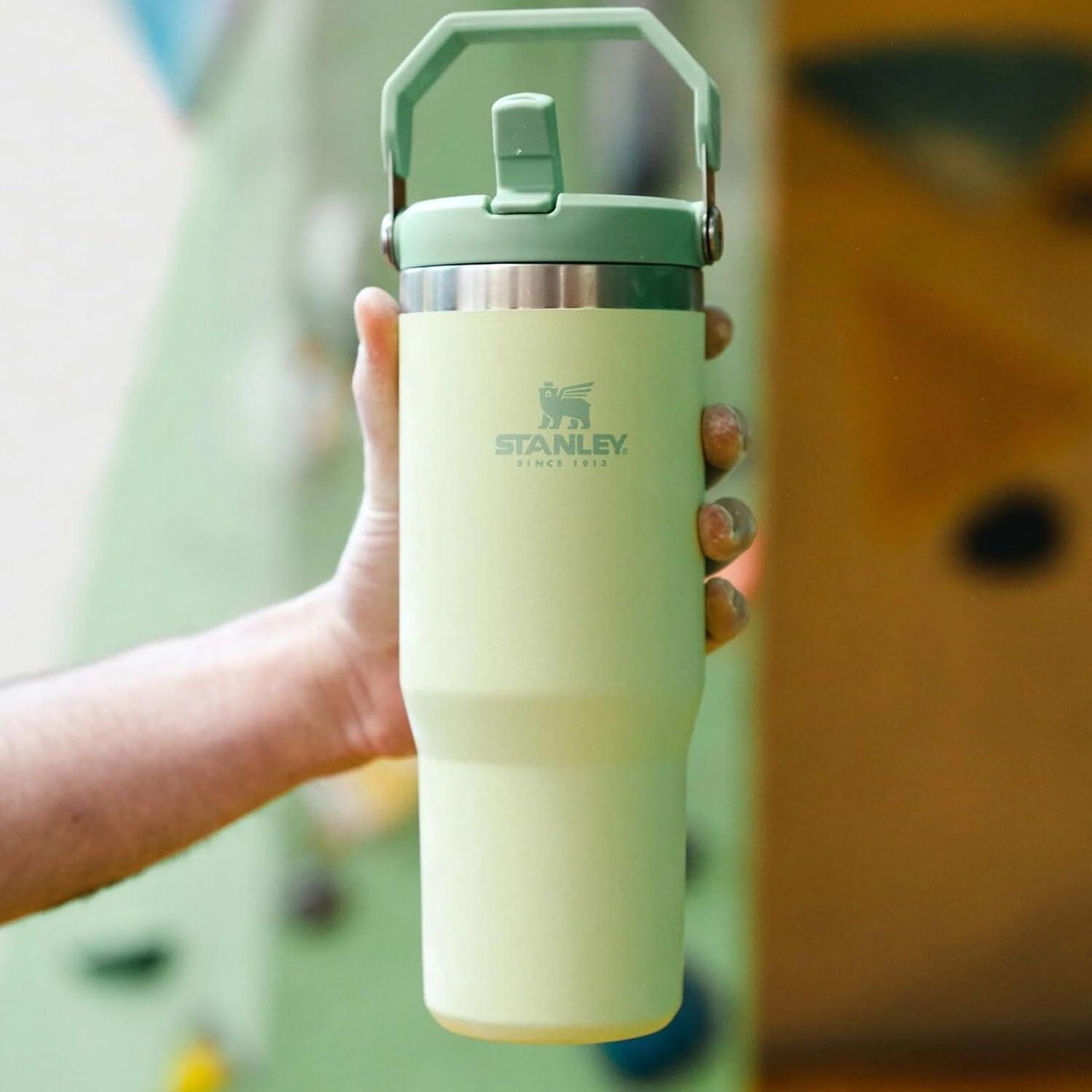 imageStanley IceFlow Flip Straw Tumbler with Handle 20 oz Twist On Lid and Flip Up Straw Leak Resistant Water Bottle Insulated Stainless Steel BPAFree PlumCitron