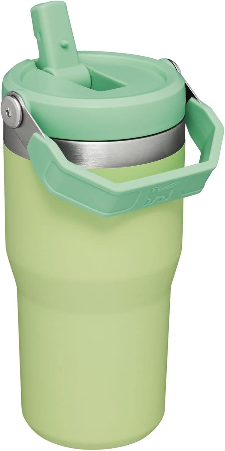 imageStanley IceFlow Flip Straw Tumbler with Handle 20 oz Twist On Lid and Flip Up Straw Leak Resistant Water Bottle Insulated Stainless Steel BPAFree PlumCitron