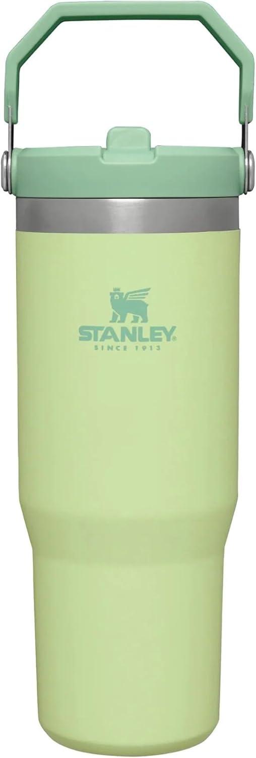 imageStanley IceFlow Flip Straw Tumbler with Handle 20 oz Twist On Lid and Flip Up Straw Leak Resistant Water Bottle Insulated Stainless Steel BPAFree PlumCitron