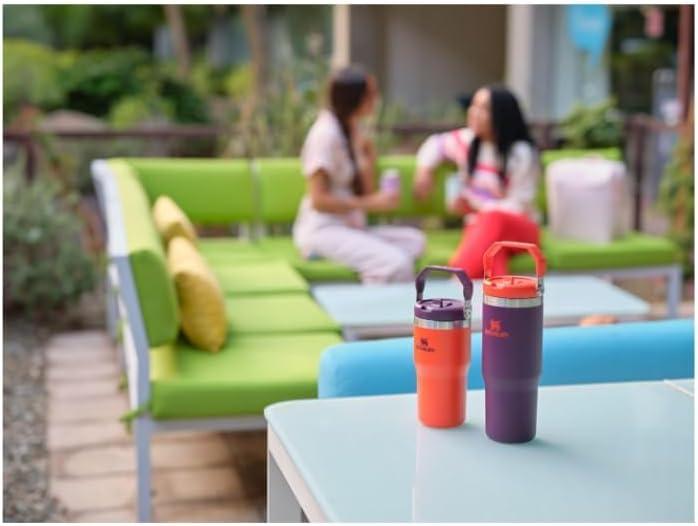 imageStanley IceFlow Flip Straw Tumbler with Handle 20 oz Twist On Lid and Flip Up Straw Leak Resistant Water Bottle Insulated Stainless Steel BPAFree PlumTigerlily Plum