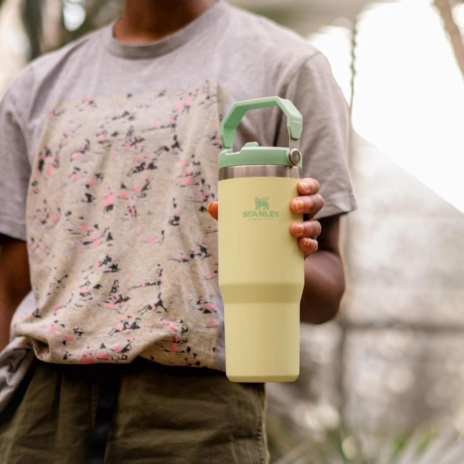 imageStanley IceFlow Flip Straw Tumbler with Handle 20 oz Twist On Lid and Flip Up Straw Leak Resistant Water Bottle Insulated Stainless Steel BPAFree PlumCitron