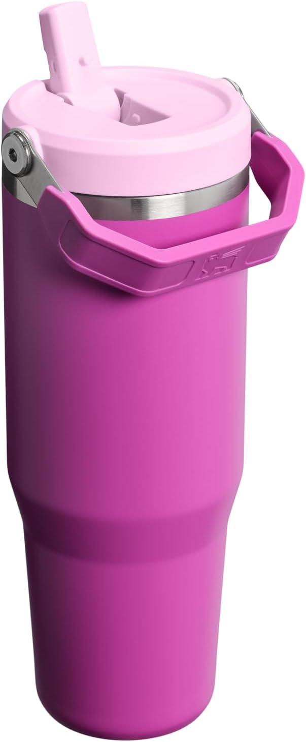 imageStanley IceFlow Flip Straw Tumbler with Handle 20 oz Twist On Lid and Flip Up Straw Leak Resistant Water Bottle Insulated Stainless Steel BPAFree PlumDark Blossom