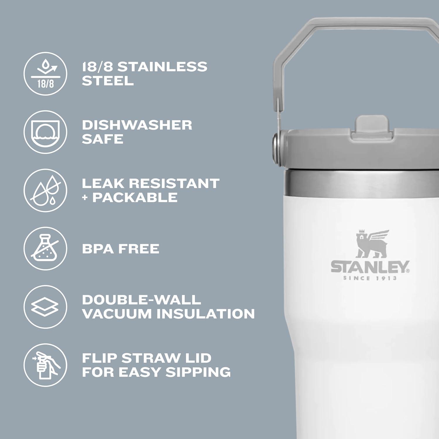 imageStanley IceFlow Flip Straw Tumbler with Handle 20 oz Twist On Lid and Flip Up Straw Leak Resistant Water Bottle Insulated Stainless Steel BPAFree PlumCitron