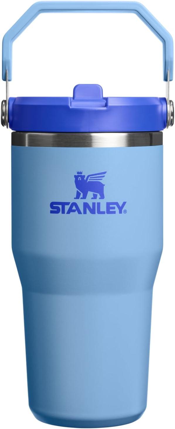 imageStanley IceFlow Flip Straw Tumbler with Handle 20 oz Twist On Lid and Flip Up Straw Leak Resistant Water Bottle Insulated Stainless Steel BPAFree PlumBlue Sky