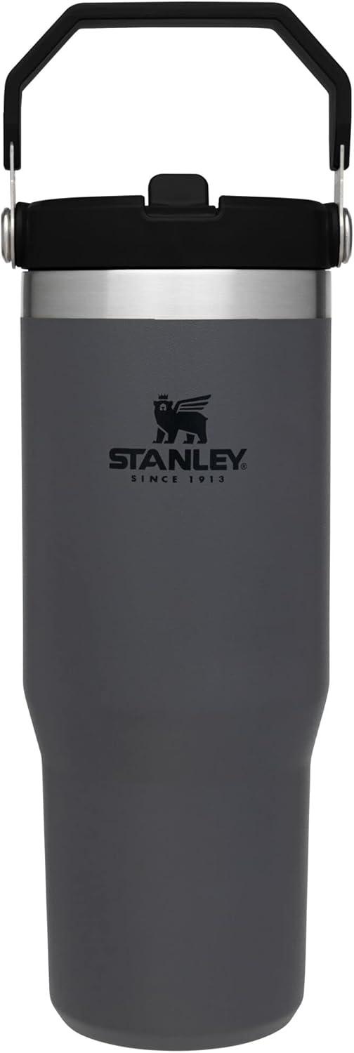 imageStanley IceFlow Flip Straw Tumbler with Handle 20 oz Twist On Lid and Flip Up Straw Leak Resistant Water Bottle Insulated Stainless Steel BPAFree PlumCharcoal