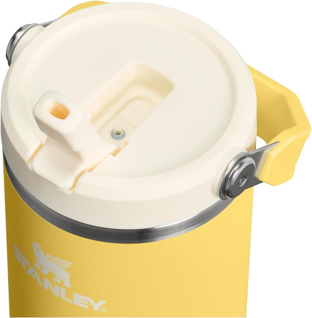imageStanley IceFlow Flip Straw Tumbler with Handle 20 oz Twist On Lid and Flip Up Straw Leak Resistant Water Bottle Insulated Stainless Steel BPAFree PlumDaffodil