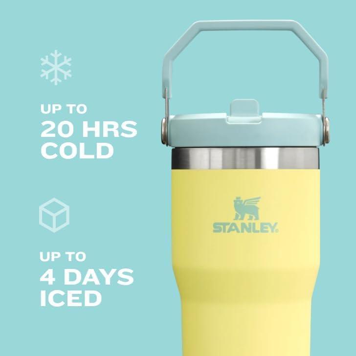 imageStanley IceFlow Flip Straw Tumbler with Handle 20 oz Twist On Lid and Flip Up Straw Leak Resistant Water Bottle Insulated Stainless Steel BPAFree PlumDew Drop