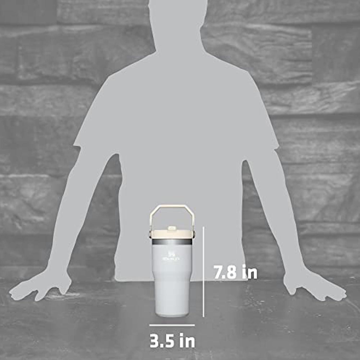 imageStanley IceFlow Flip Straw Tumbler with Handle 20 oz Twist On Lid and Flip Up Straw Leak Resistant Water Bottle Insulated Stainless Steel BPAFree PlumCloud