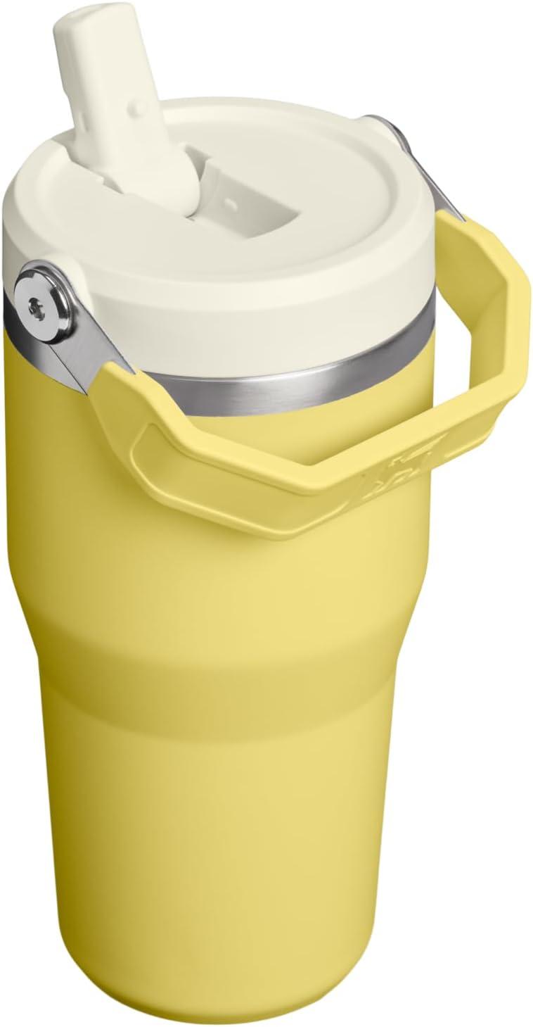 imageStanley IceFlow Flip Straw Tumbler with Handle 20 oz Twist On Lid and Flip Up Straw Leak Resistant Water Bottle Insulated Stainless Steel BPAFree PlumDaffodil
