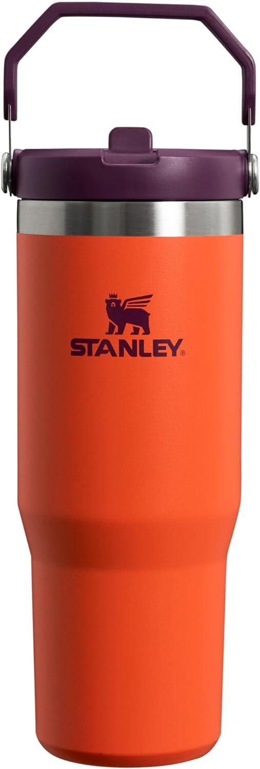 imageStanley IceFlow Flip Straw Tumbler with Handle 20 oz Twist On Lid and Flip Up Straw Leak Resistant Water Bottle Insulated Stainless Steel BPAFree PlumTigerlily Plum